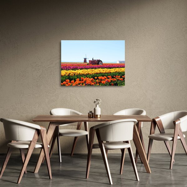 Sklenený obraz tulipánové farmy (70x50 cm)