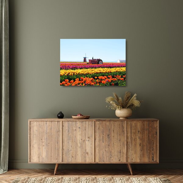 Sklenený obraz tulipánové farmy (70x50 cm)