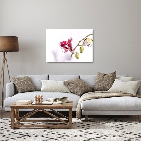 Sklenený obraz kvetu orchidey (70x50 cm)