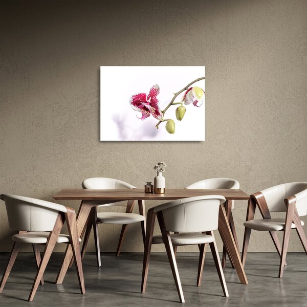 Sklenený obraz kvetu orchidey (70x50 cm)