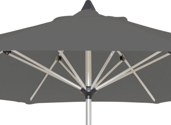SLNEČNÍK 300 cm Gardenson - Online Only záhrada, Online Only