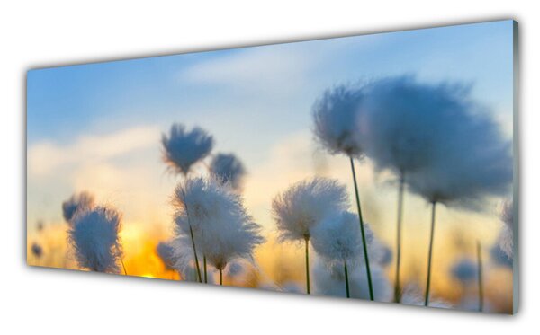 Sklenený obklad Do kuchyne Kvety rastlina príroda 125x50 cm
