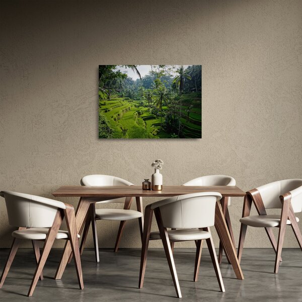 Sklenený obraz ryžových terás Tegalalang, Bali (70x50 cm)