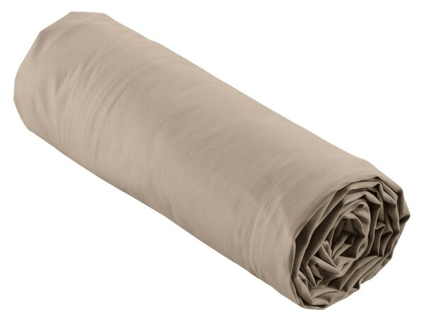 Svetlohnedá napínacia plachta z bavlneného perkálu 180x200 cm Percaline – douceur d'intérieur