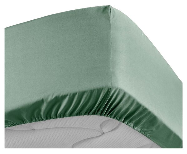 Zelená napínacia plachta z bavlneného perkálu 160x200 cm Percaline – douceur d'intérieur
