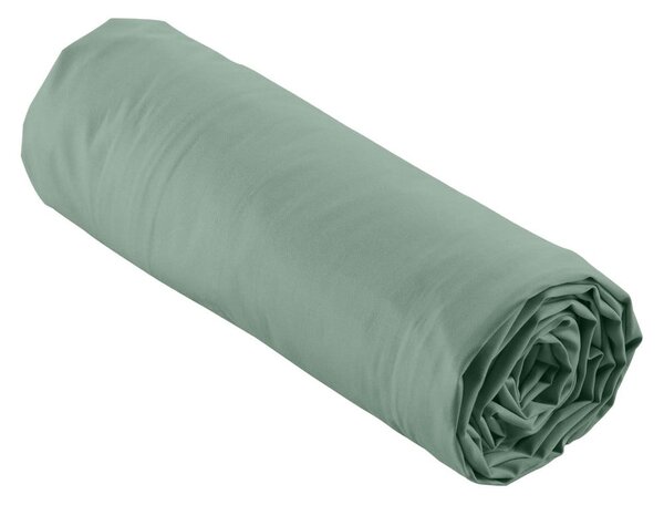 Zelená napínacia plachta z bavlneného perkálu 160x200 cm Percaline – douceur d'intérieur