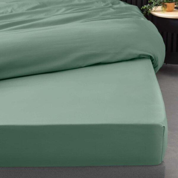 Zelená napínacia plachta z bavlneného perkálu 160x200 cm Percaline – douceur d'intérieur