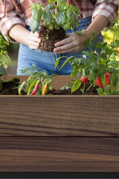 Deco Elevated Garden Bed Kvetináč 156 × 113 × 47 cm, walnut KETER 263873