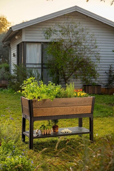 Deco Elevated Garden Bed Kvetináč 156 × 113 × 47 cm, walnut KETER 263873