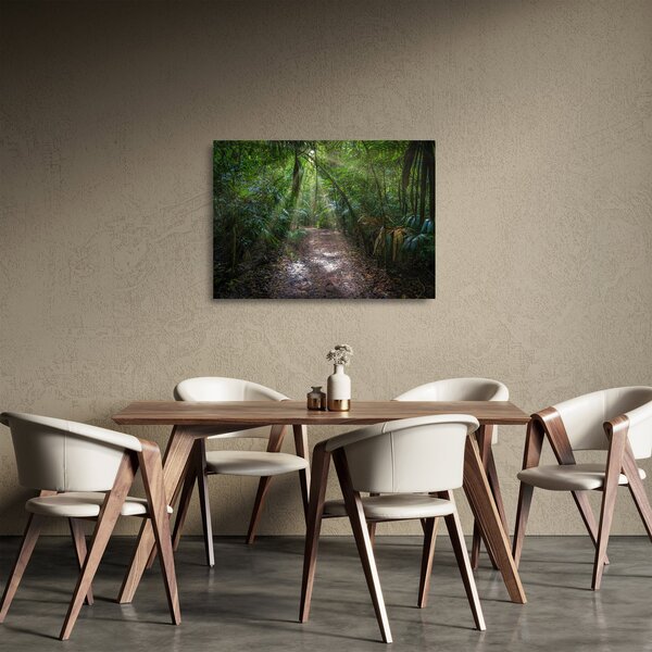 Sklenený obraz - Slnečné lúče v džungli (70x50 cm)