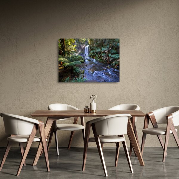 Sklenený obraz australského dažďového lesa (70x50 cm)