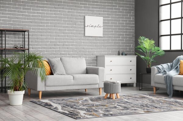 Tmavosivý koberec 80x150 cm Soft – FD