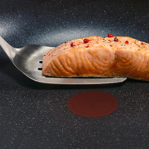 Expertise+ Panvica Ø 28 cm TEFAL G3330602