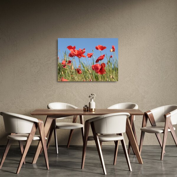Sklenený obraz - Vlčie maky (70x50 cm)