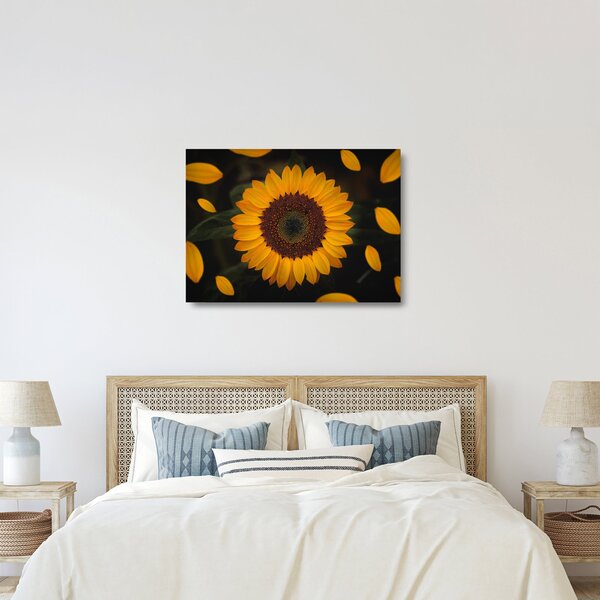 Sklenený obraz - Slnečnice a lístky kvetov (70x50 cm)