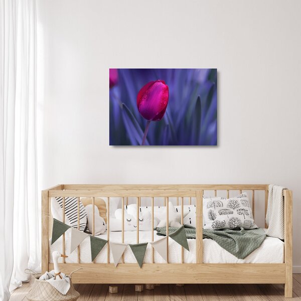 Sklenený obraz pupete tulipánu (70x50 cm)