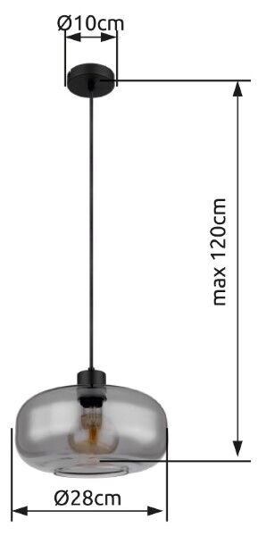 GLOBO 15566H GIUSEPPE závesné svietidlo D280mm 1xE27 matná čierna, dymová