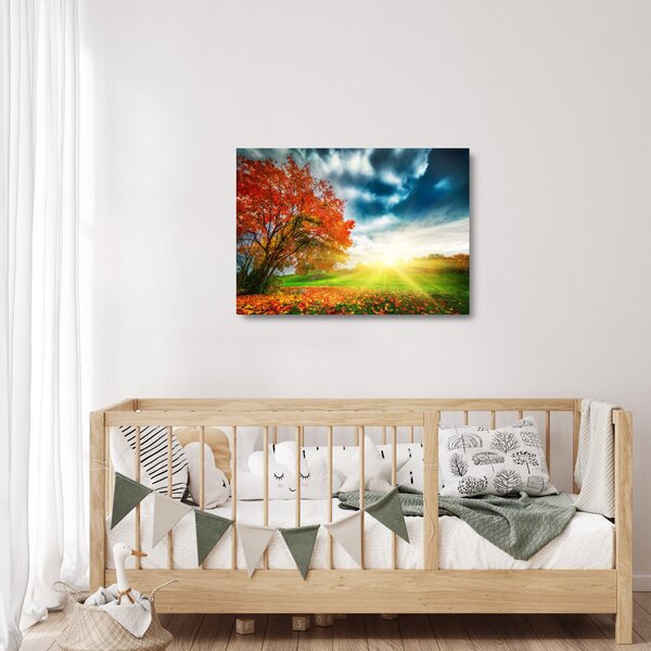 Sklenený obraz krajiny zaliate slnečným svitom (70x50 cm)