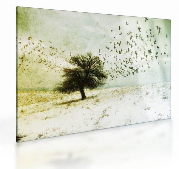 Sklenený obraz - Maľovaný kŕdeľ vtákov (70x50 cm)