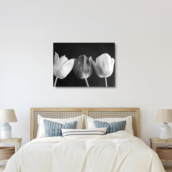 Sklenený obraz - Čiernobiele kvety tulipánov (70x50 cm)