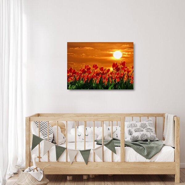 Sklenený obraz rozkvitnutého lánu s tulipánmi (70x50 cm)