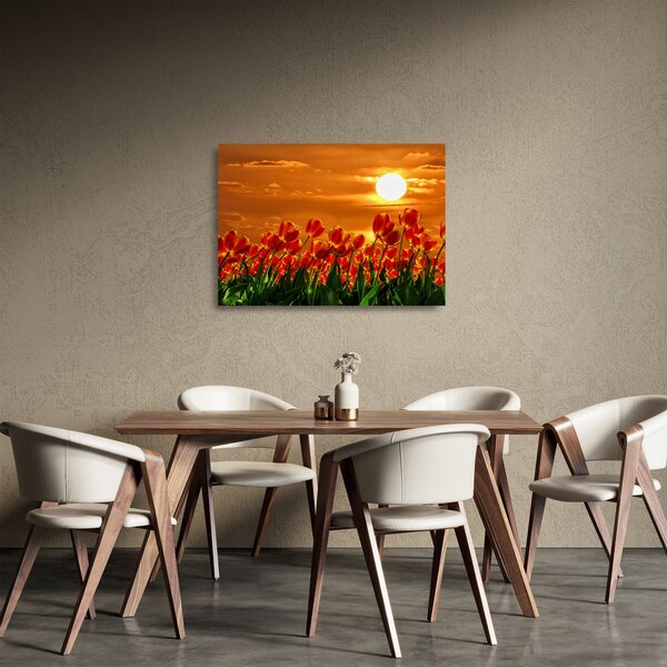 Sklenený obraz rozkvitnutého lánu s tulipánmi (70x50 cm)