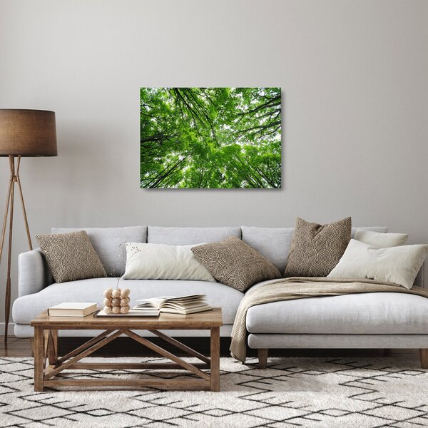 Sklenený obraz - Pohľad do korún stromov (70x50 cm)