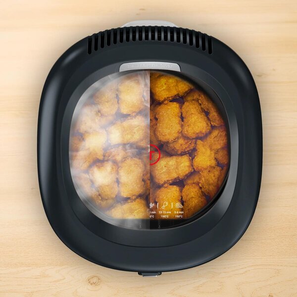 Filtra Vision+ Olejová fritéza, čierna TEFAL FF2588E0