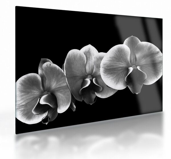 Sklenený obraz kvetu orchidey (70x50 cm)