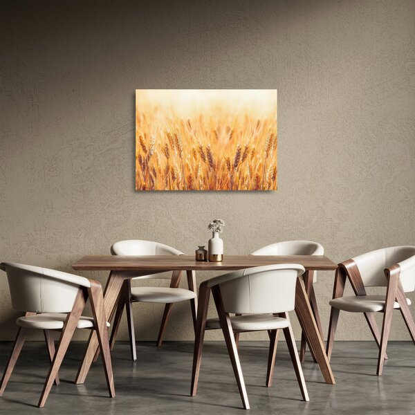 Sklenený obraz - pole s obilím (70x50 cm)