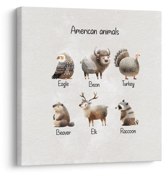 Obraz ilustrácia amerických zvierat