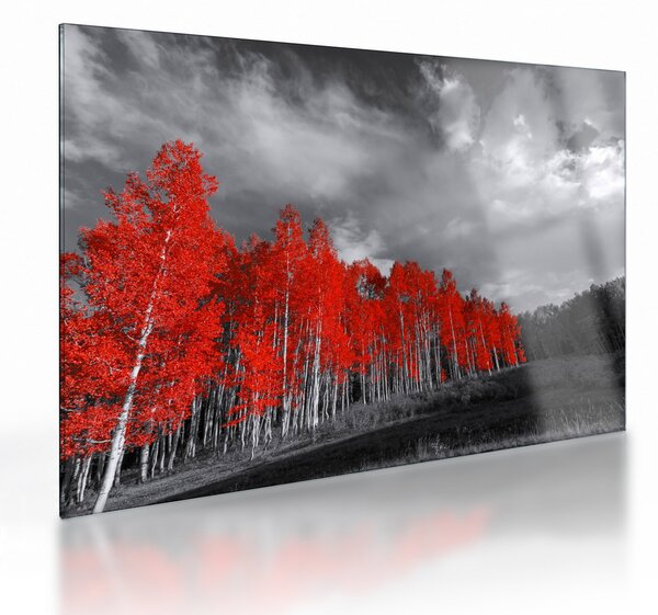 Sklenený obraz - Stromy vo farbe jesene (70x50 cm)