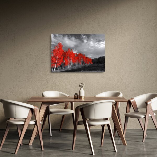 Sklenený obraz - Stromy vo farbe jesene (70x50 cm)