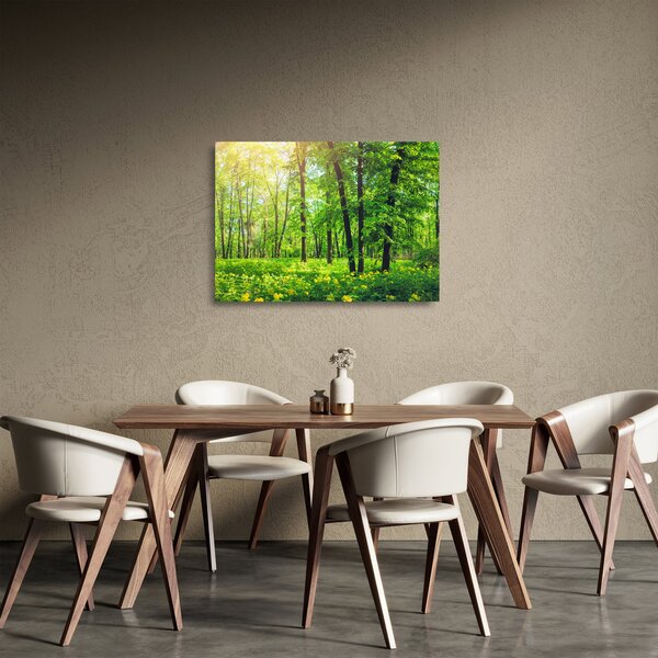 Sklenený obraz - Jarný listnatý les (70x50 cm)