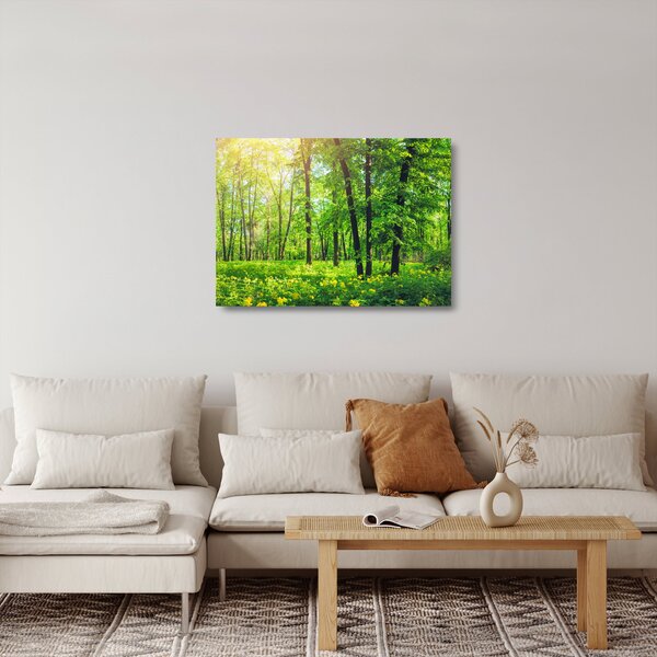 Sklenený obraz - Jarný listnatý les (70x50 cm)
