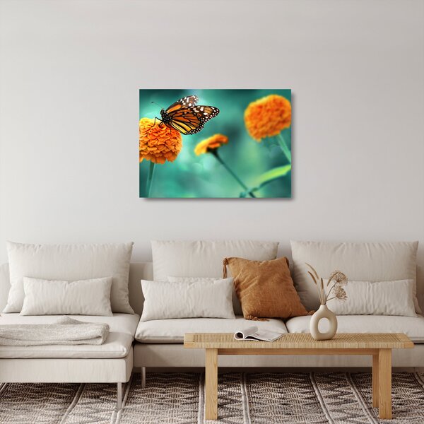 Sklenený obraz motýľa (70x50 cm)