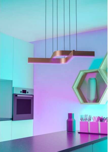Eglo 901864 - LED RGBW stmievateľný závesný luster na lanku FOLCINO-Z 2xLED/18W/230V medená/čierna