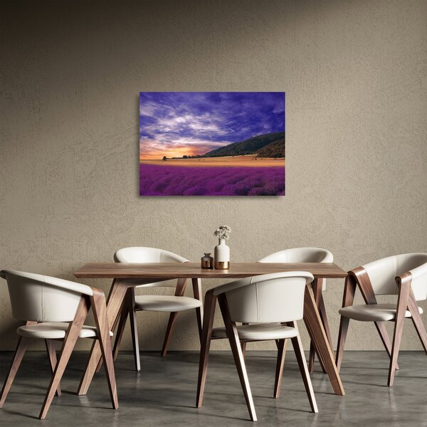 Sklenený obraz levanduľovej lúky (70x50 cm)