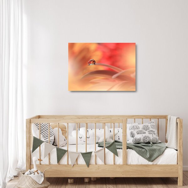 Sklenený obraz kvetinové kvapky rosy (70x50 cm)