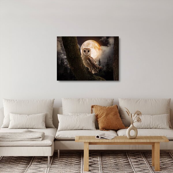 Sklenený obraz sovy (70x50 cm)