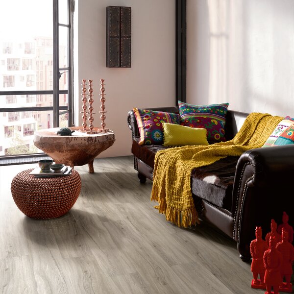 Vinyl Parador Basic 30 Dub pastelovo šedý 1513441 1,83 m²