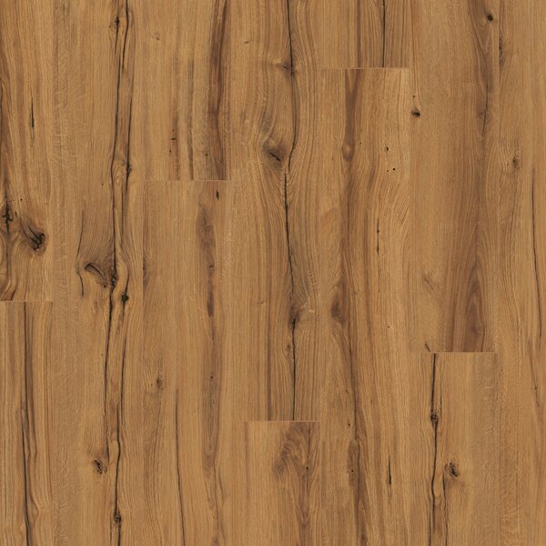 Parador Basic 400 Dub History 1593795 2,49 m²