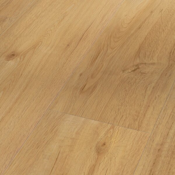 Vinyl Parador Basic 2.0 Dub prírodný 1730779 4,47 m²