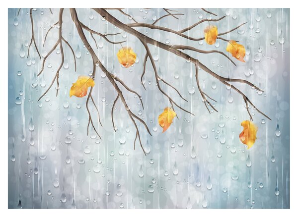 Sklenený obraz - Daždivý jeseň (70x50 cm)