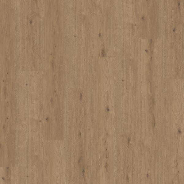 Parador Modular ONE Hydron Dub Atmosphere umber 1744840 2,02 m²