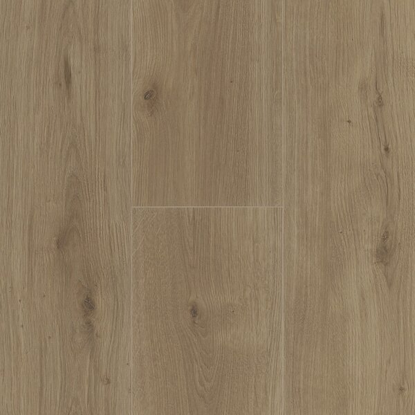 Parador Modular ONE Hydron Dub Atmosphere umber 1744840 2,02 m²