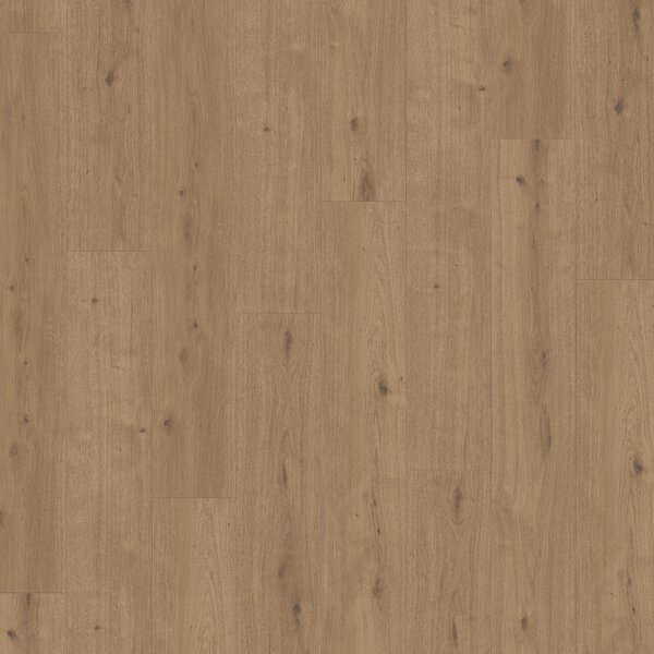 Parador Modular ONE Hydron Dub Atmosphere umber 1744840 2,02 m²