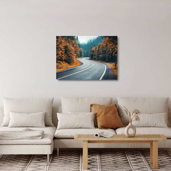 Sklenený obraz - Kľukatá cesta (70x50 cm)
