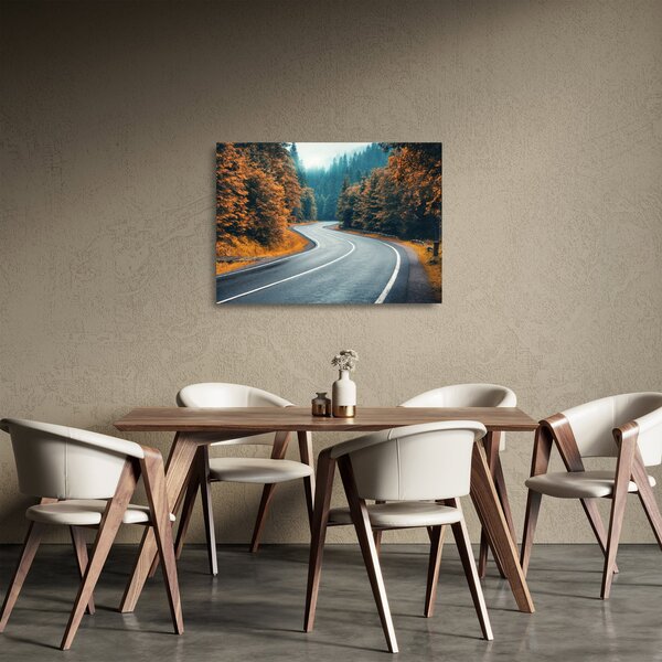 Sklenený obraz - Kľukatá cesta (70x50 cm)