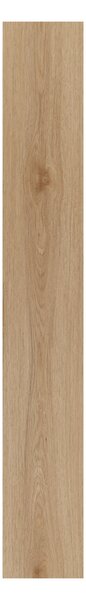 Afirmax SPC BiClick Floor CBC 41582 Dub Monument 2,20 m²